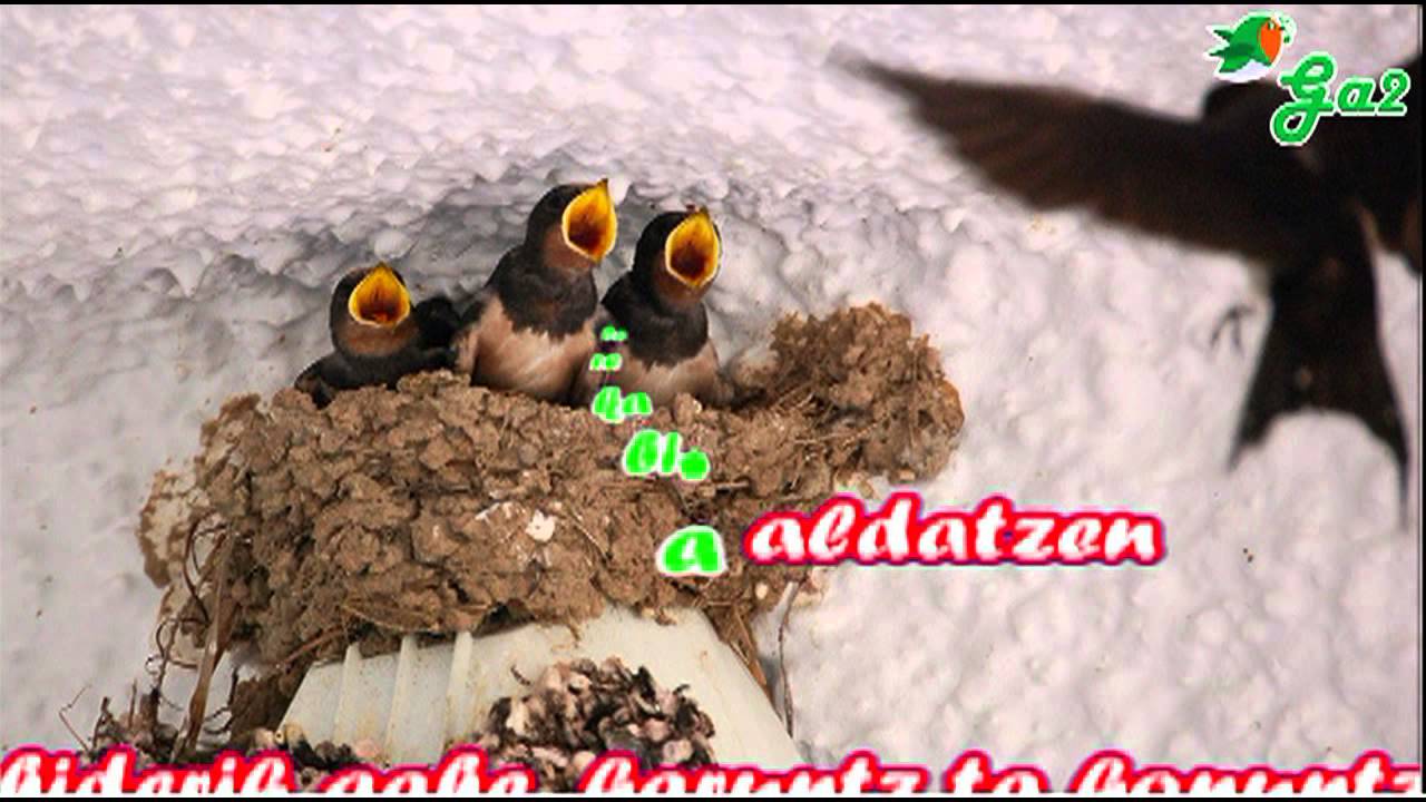 Anttoni eta Antton -Sakabi-