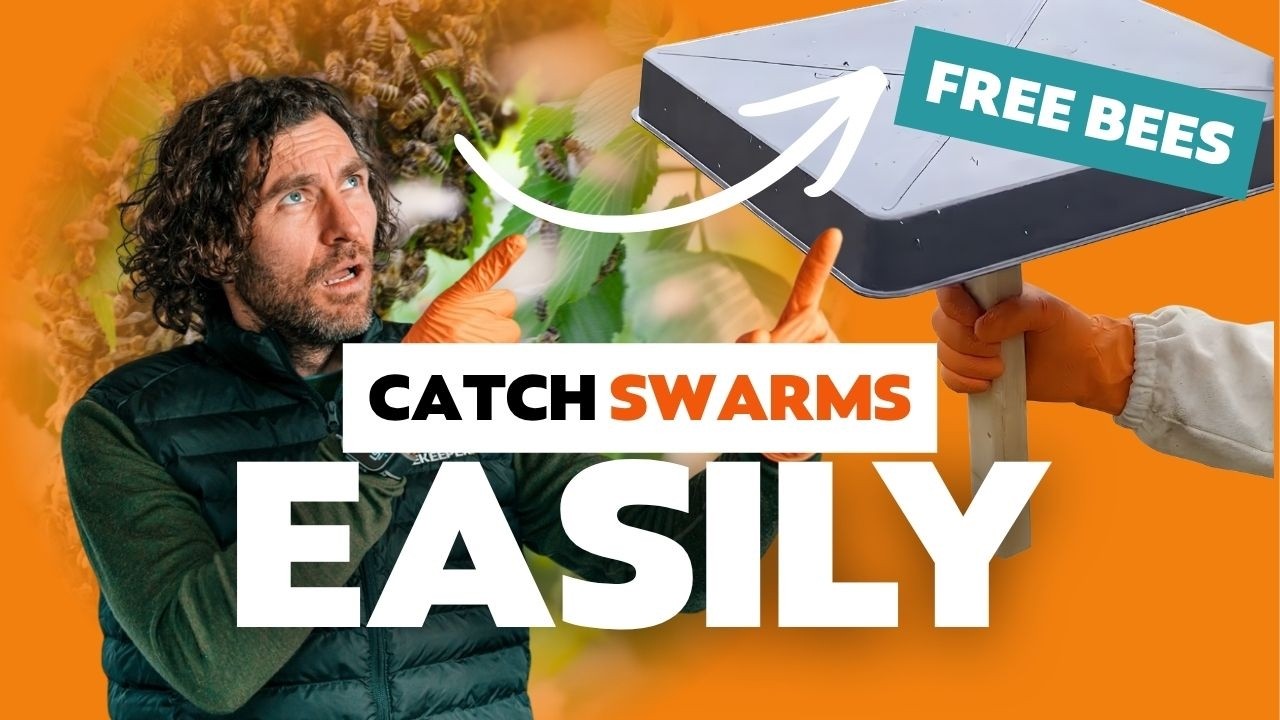 Build The Worlds Best Swarm Magnet - How A Russian Scion Helps You Catch More Swarms