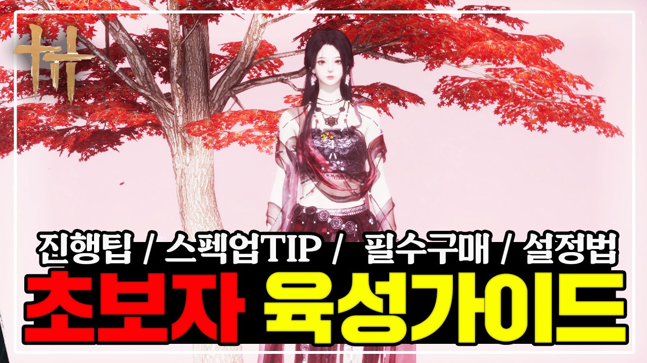 [연운] 초보자 육성가이드&꿀팁 [육성TIP / 스펙업TIP / 필수구매 / 설정법등]