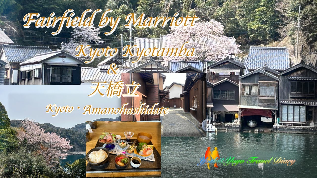 フェアフィールド・バイ・マリオット京丹波とKyoto・天橋立の旅で伊根湾遊覧船でカモメに餌やりしました。
