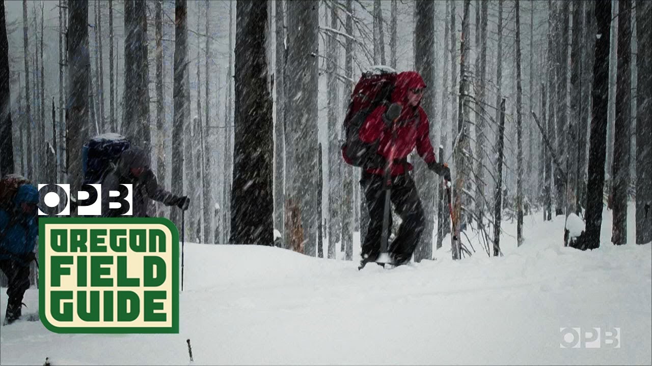 Mount Hood Backcountry Skiers Find Refuge In Famous Cabin | Oregon Field Guide