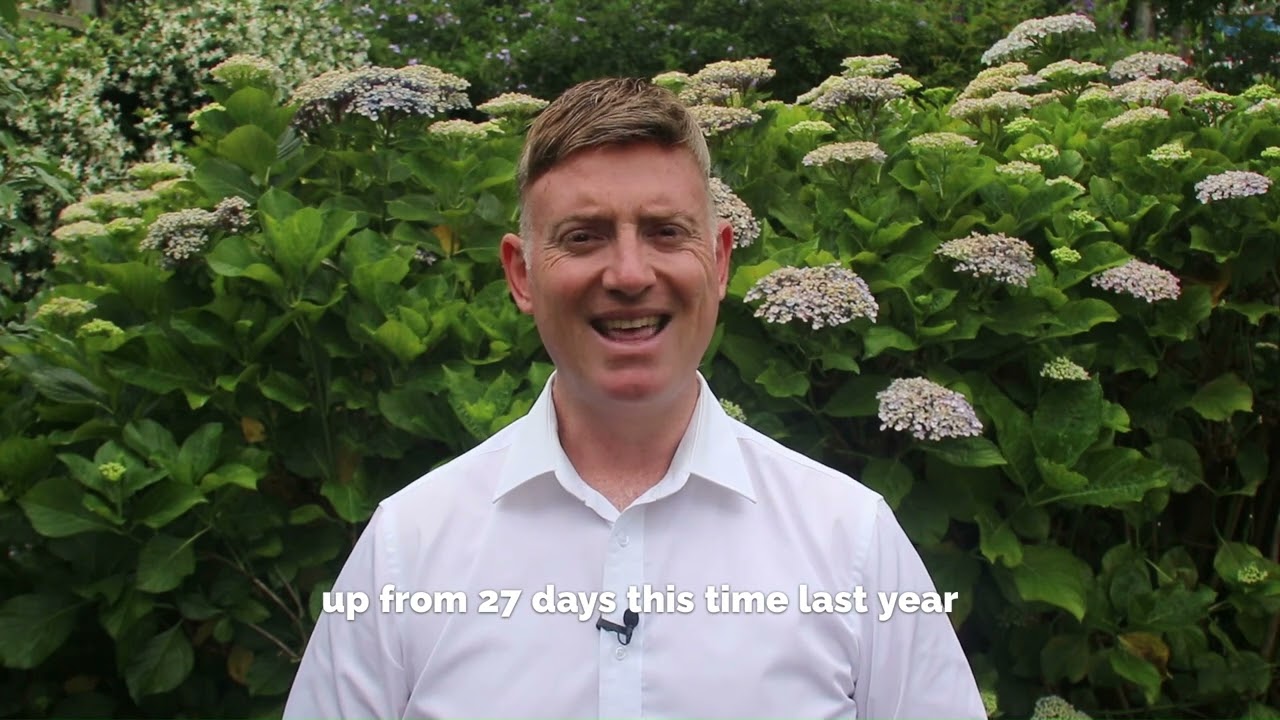 November 2024 Property Update