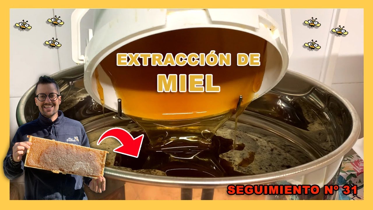 EXTRACCIÓN de MIEL   🐝🧡🎥 Seguimiento Nº31