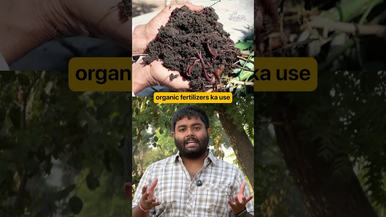 Farming in Punjab vs Sikkim?