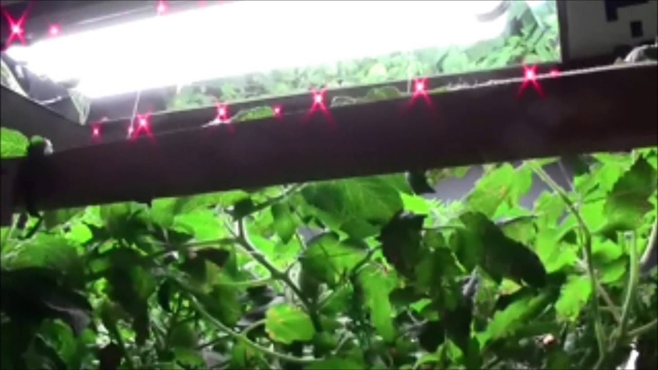 Pfr Pontoon Hybrid Inda Gro Light Accessory