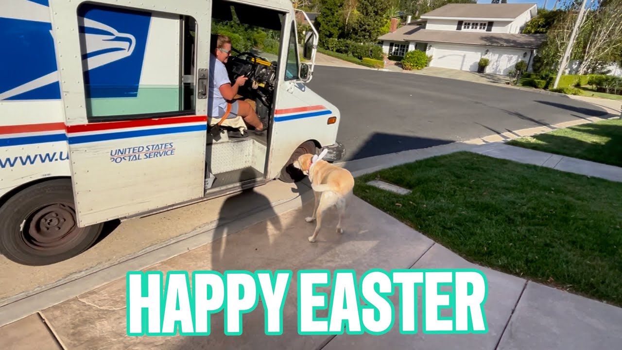 Mail Lady Thinks My Dog Is the Easter Bunny 🐶🐰 (Her Reaction Is Everything)