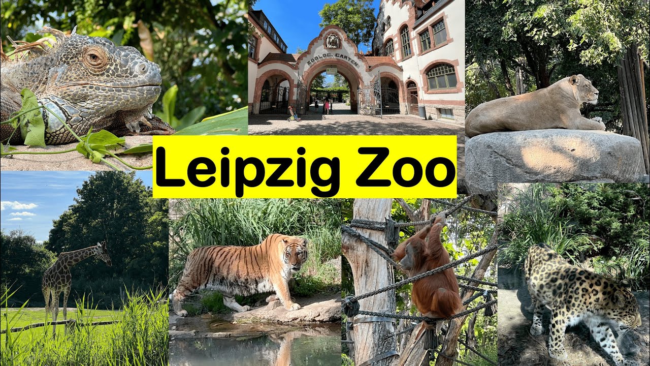 Zoo Leipzig - Der beste Zoo Deutschlands I Leipzig Zoo I 4K
