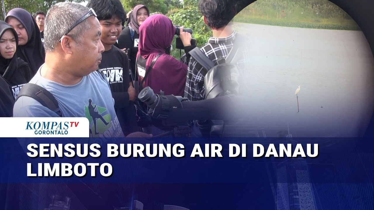 Sensus Burung Air, Pantau Keanekaragaman Hayati di Danau Limboto