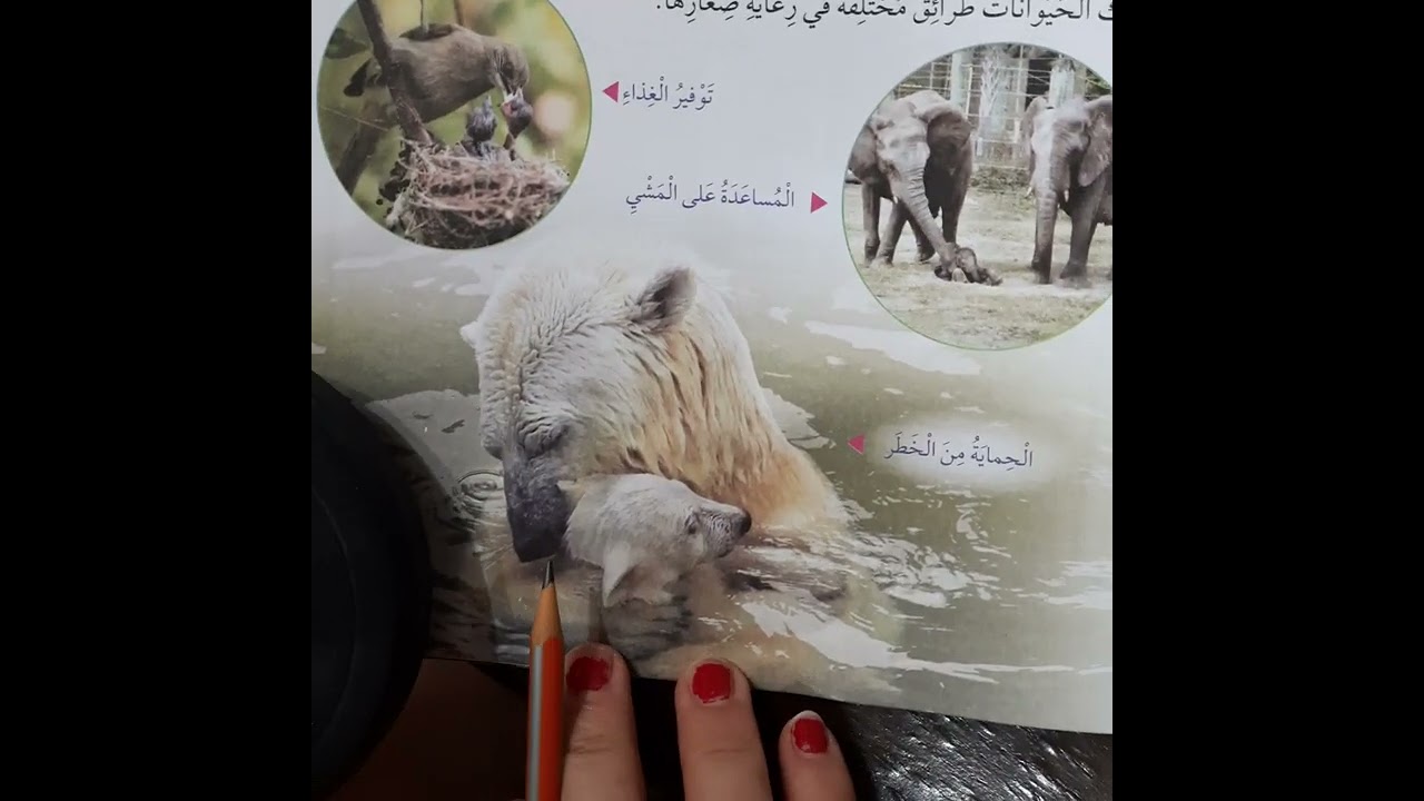 سلوك الكائنات الحية علوم ثالث