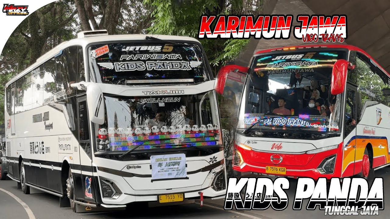 KALI INI KETEMU KIDS PANDA SAMA KARIMUN JAWA || NGOYOD KIDS PANDA DAN KARIMUN JAWA❗❗❗
