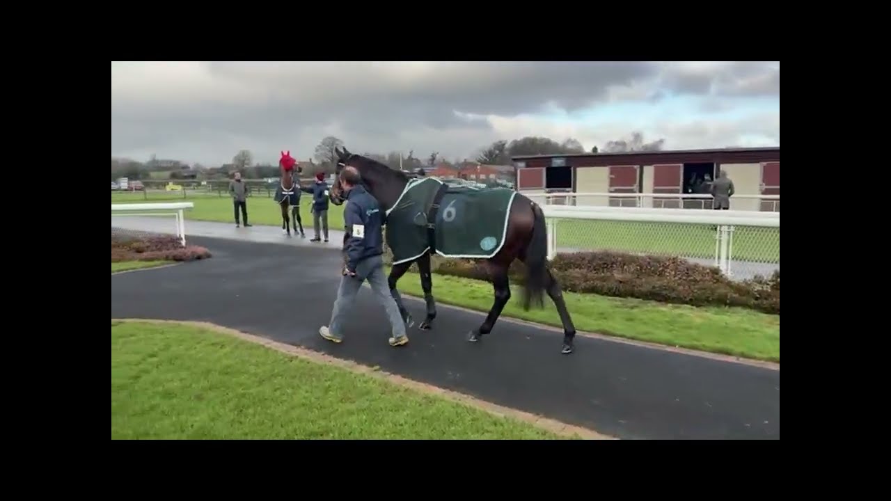 Talakan the Racehorse - Race Week Two - Ludlow 4 February 2026 - Racing To School Juvenile Hurdle