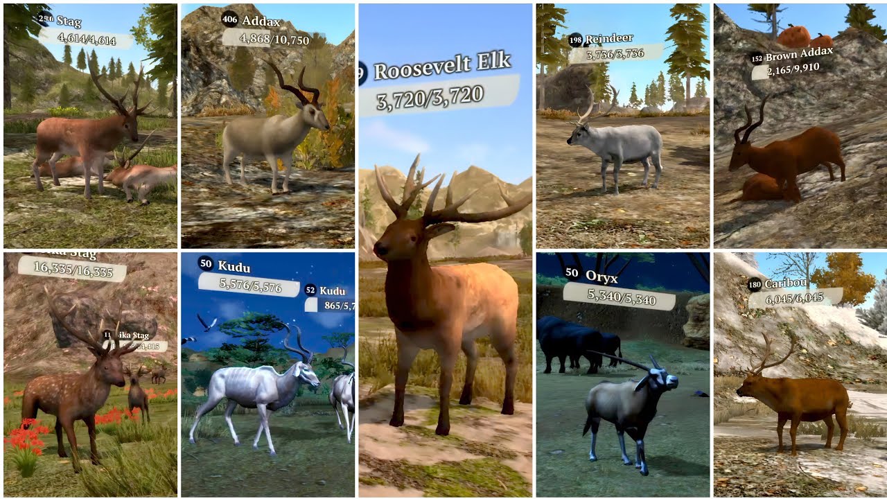 The Wolf - Stag vs Addax vs Caribou vs Saiga vs Reindeer vs Oryx vs Kudu vs Sika Stag vs Elk 🏆