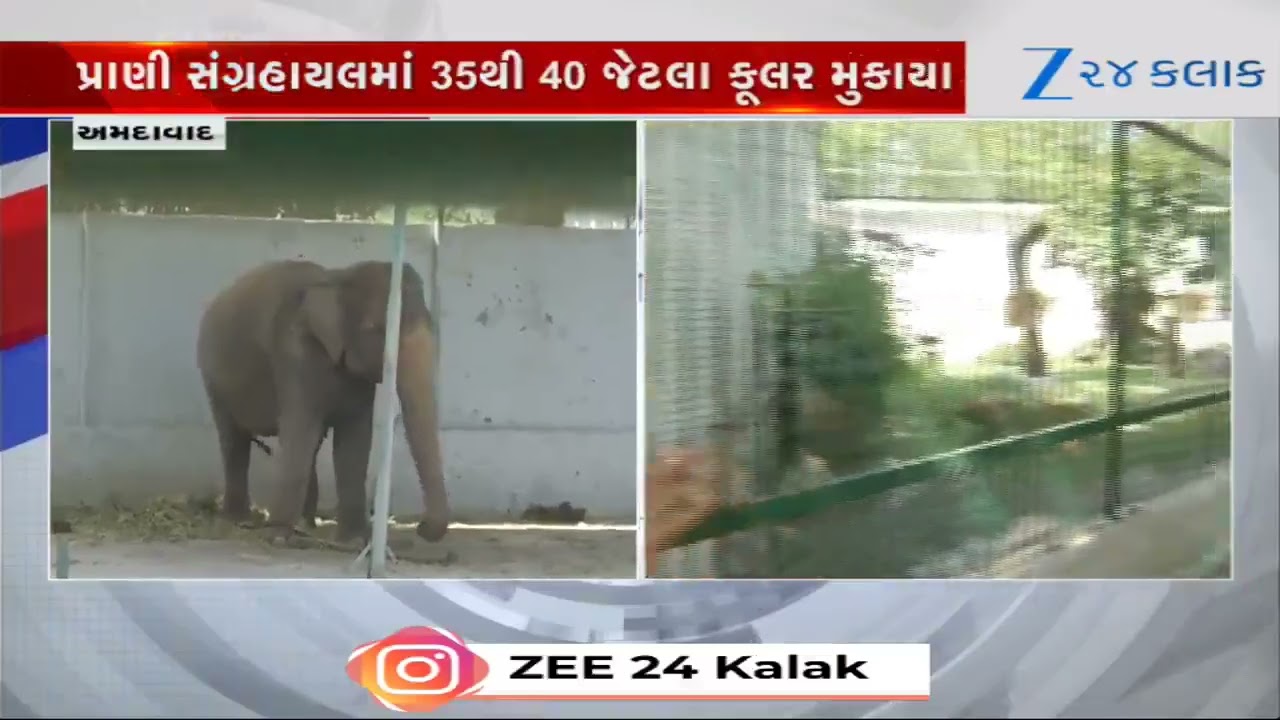Ahmedabad: Kankaria Zooમાં પ્રાણીઓ માટે 35-40 જેટલા કૂલર મુકાયા; તો પક્ષીઓ માટે ગ્રીન નેટની વ્યવસ્થા