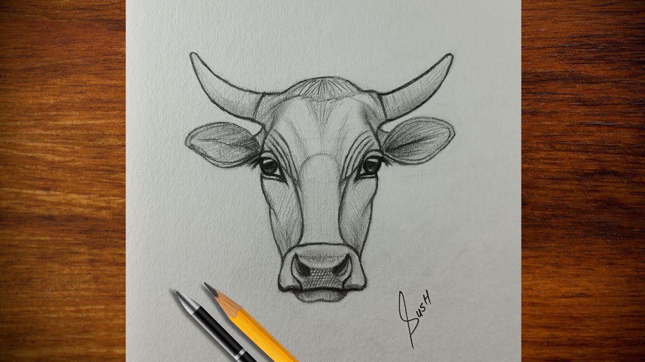 How To Draw Cow 