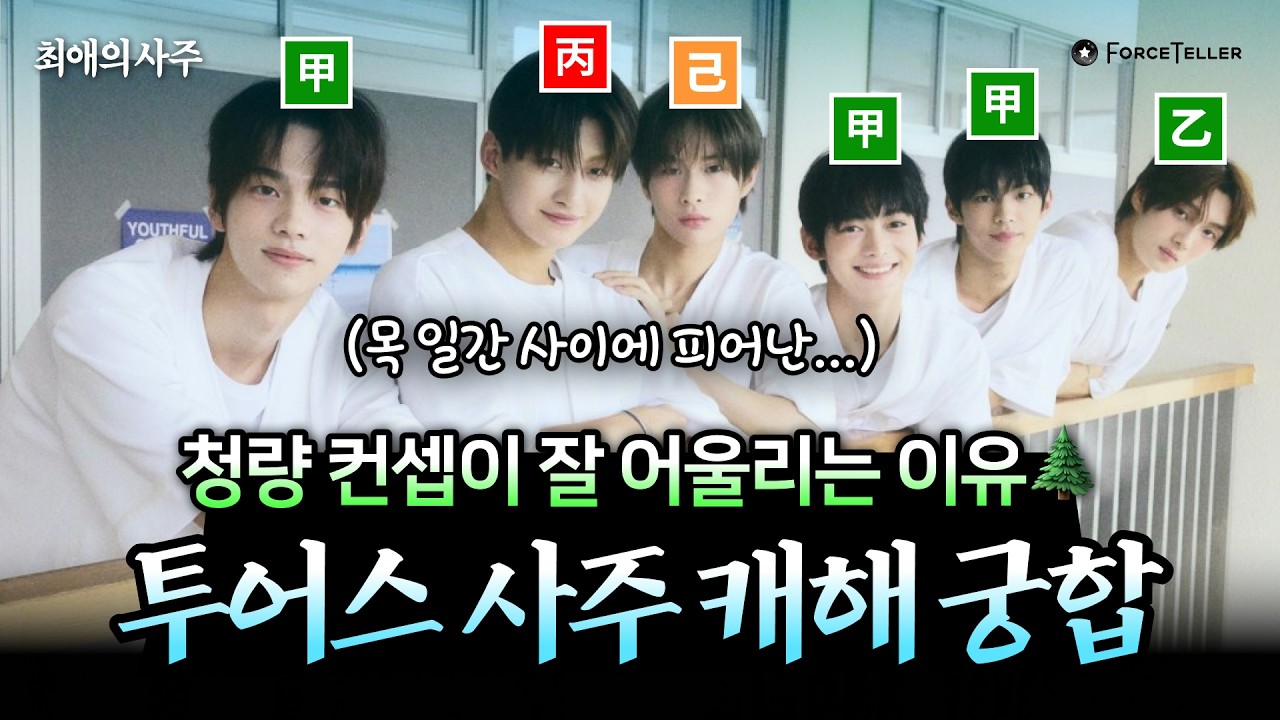 사주로 보는 투어스가 청량 컨셉이 잘 어울리는 이유🌳 | 최애의 사주 EP.9