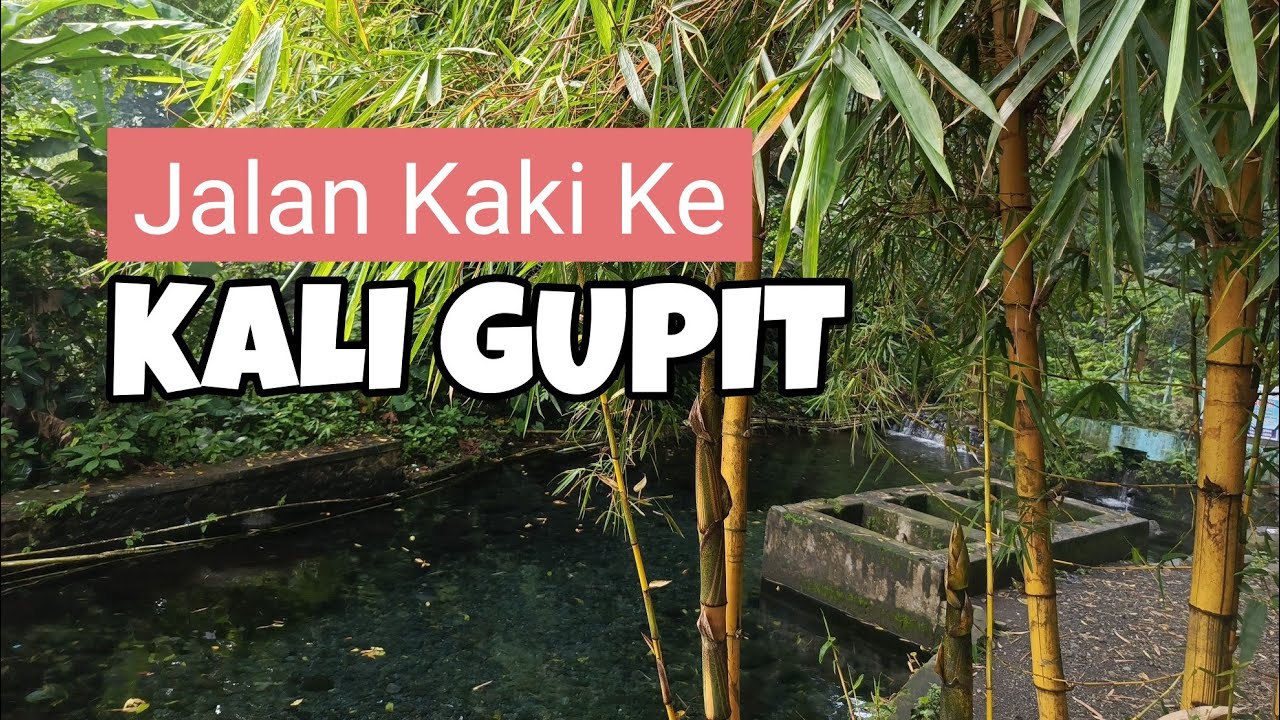 Jalan Kaki Ke Kali Gupit