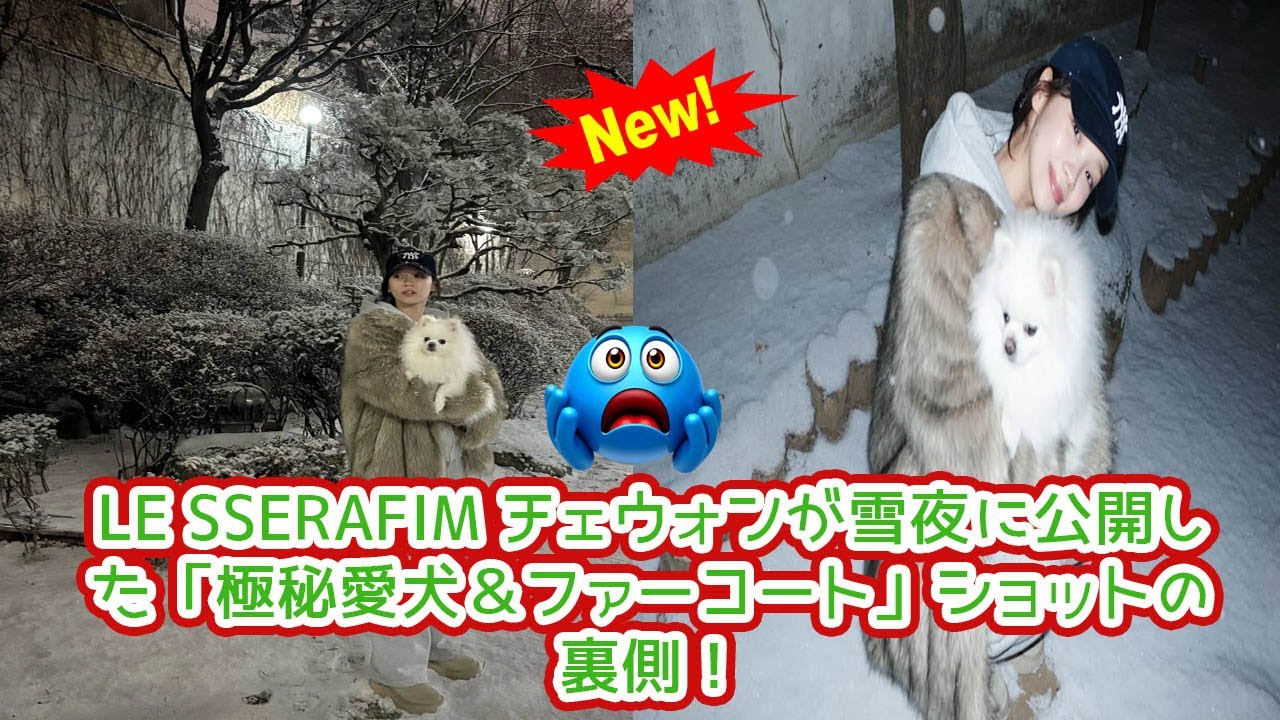 LE SSERAFIM キム・チェウォン、雪夜の「愛犬＆ファーコート」姿が世界を凍らせる！Car, the Gardenが奏でる感動の裏側と、ファンだけが見た極上のプライベート空間を徹底解剖する