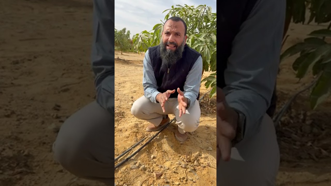 أفضل وأحسن نظام ري ينفع لجميع الأشجار في اي مكان في العالم