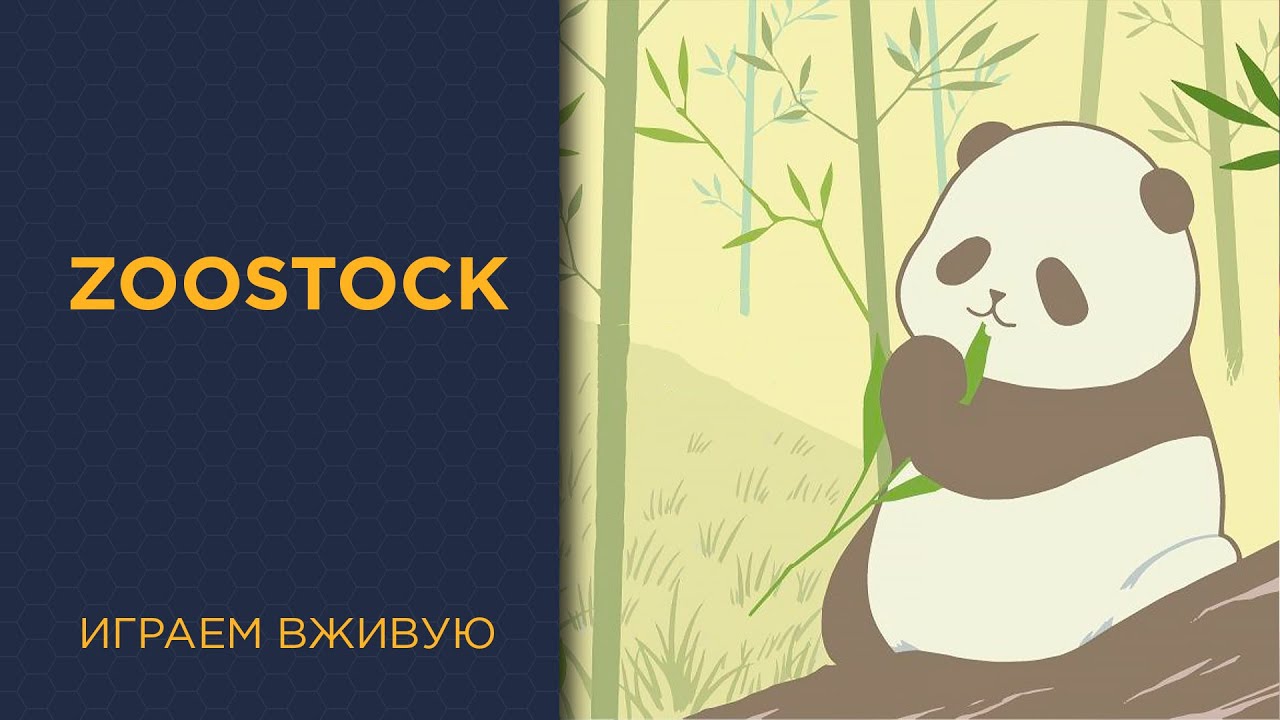 ZooStock — Играем вживую