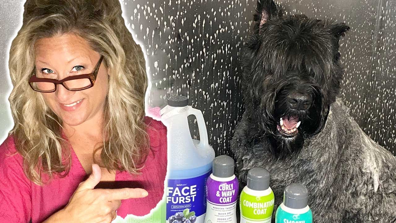 HOW DOG GROOMERS get your DOG so CLEAN! Secret to CLEANING your PET