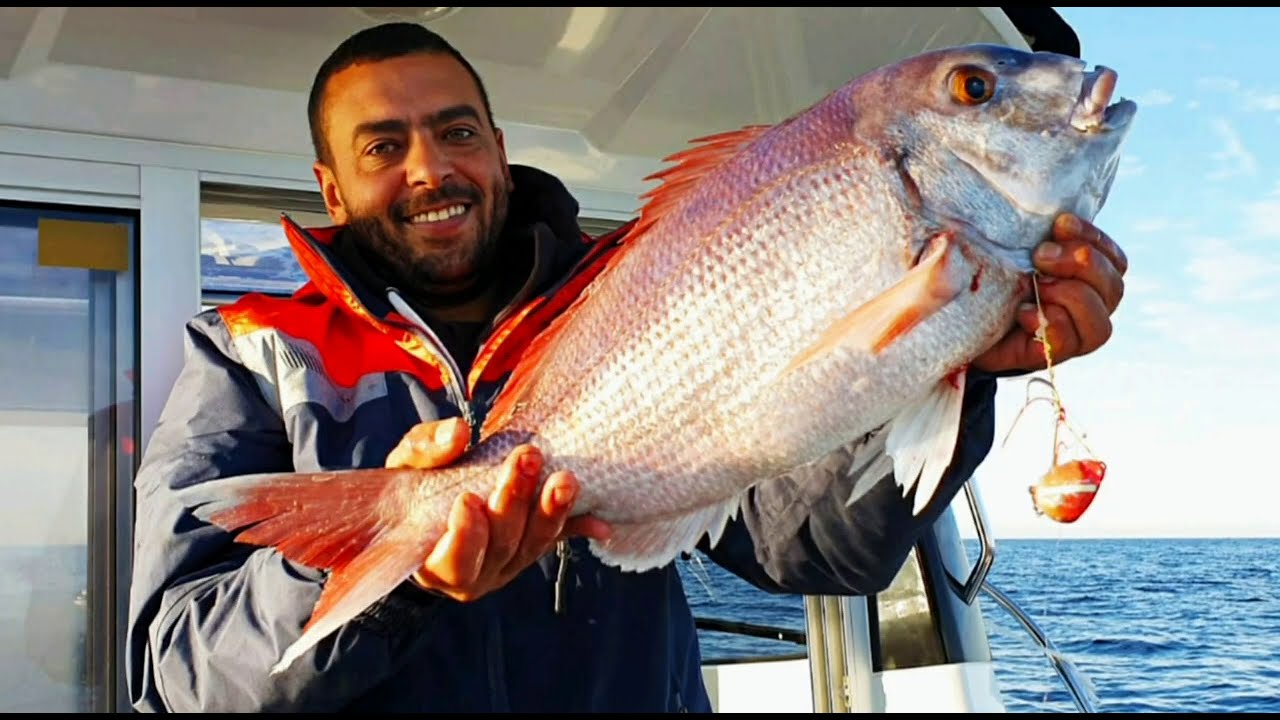 Pêche au tenya escage pour gros poisson pagre denti chapon st pierre