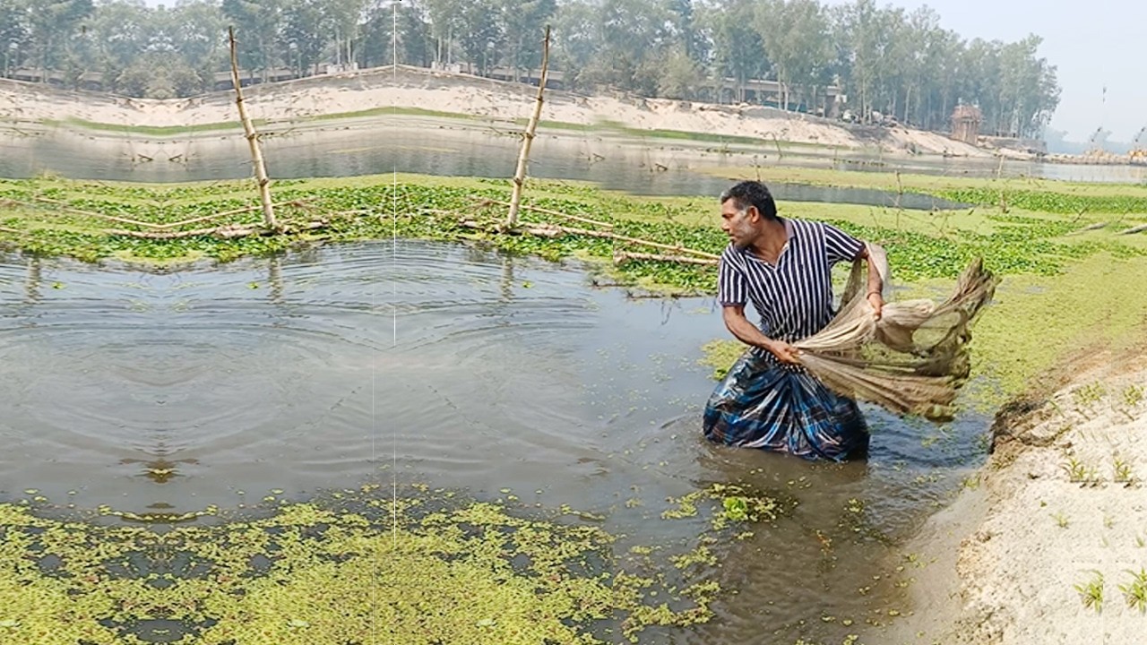 Village Net Fishing Video - Traditional Net Fishing in Village River - Fishing Net Video