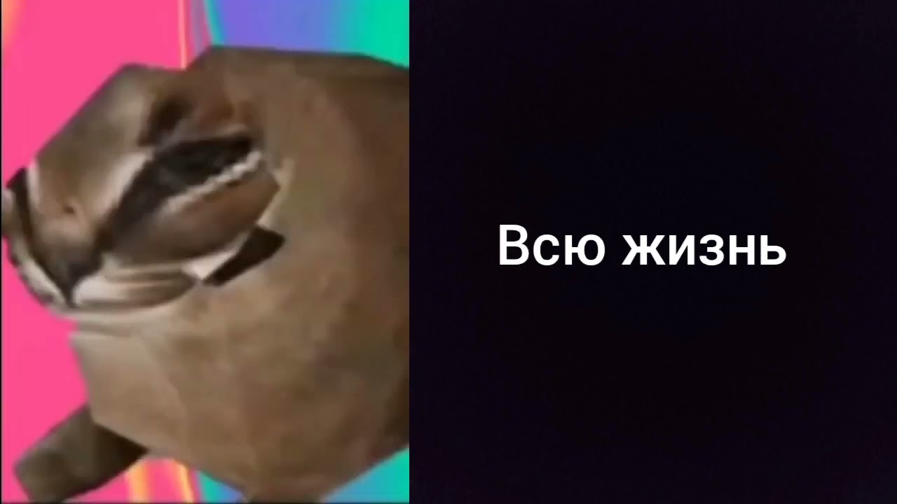 Сколько ты спишь: (грустные лица Шлёпы)