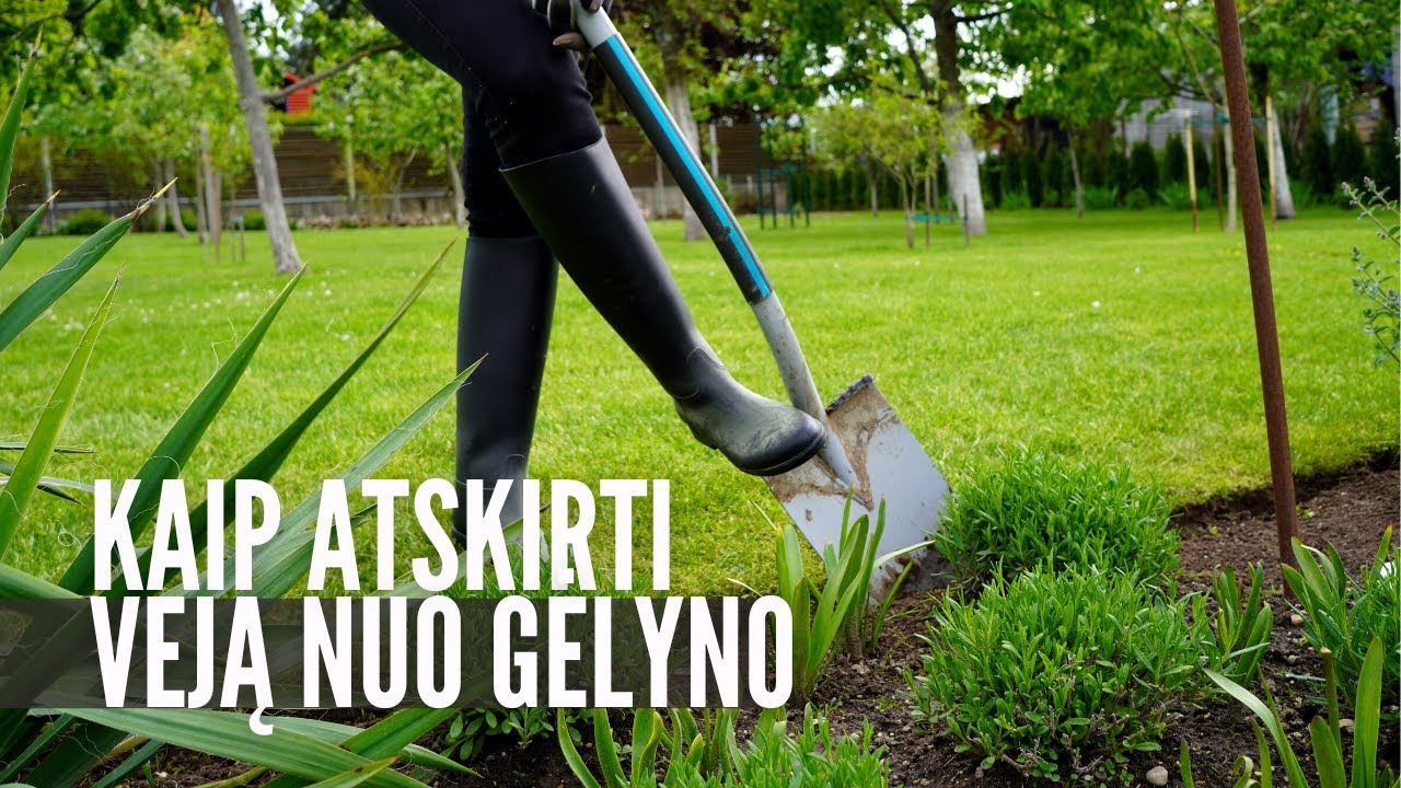 Kaip atskirti veją nuo gėlyno – be plastiko!