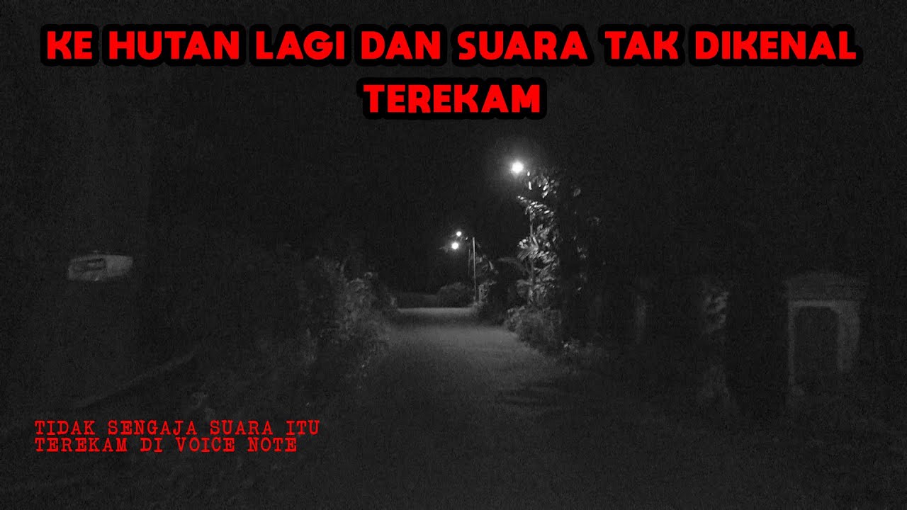 KEMBALI KE HUTAN DAN SUARA TAK DI KENAL TEREKAM