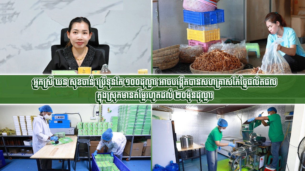 អ្នកស្រី ឃន សុខចាន់ ប្រើទុនតែ ១០០ដុល្លារ អាចបង្កើតបានសហគ្រាសកែច្នៃផលិតផលក្នុងស្រុក