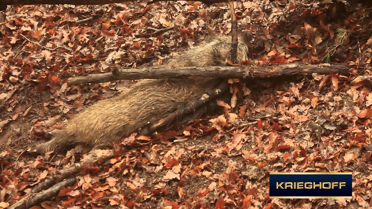 Krieghoff_brand_for_web
