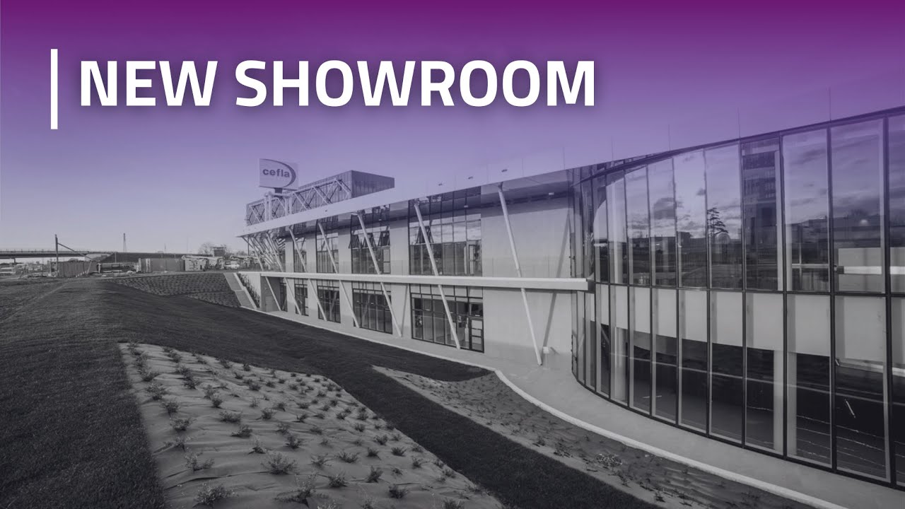 MyRay | New international showroom