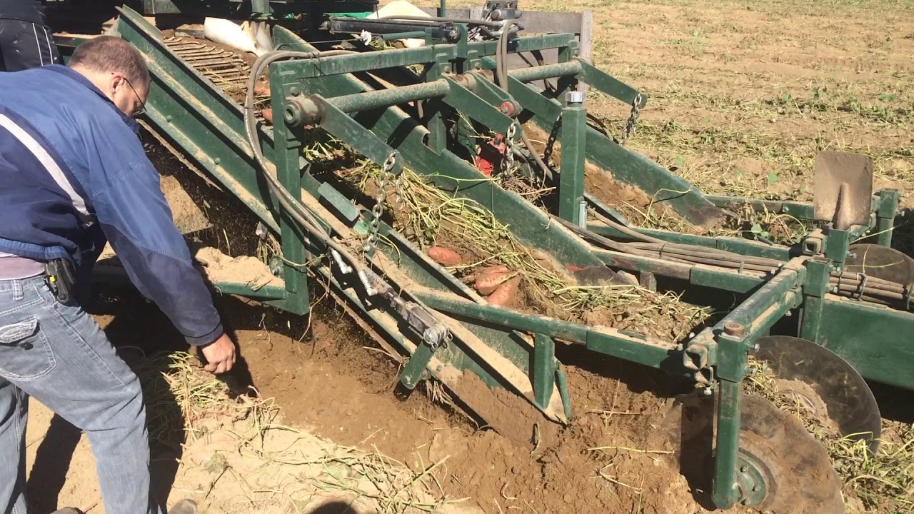 Sweet Potato Harvester