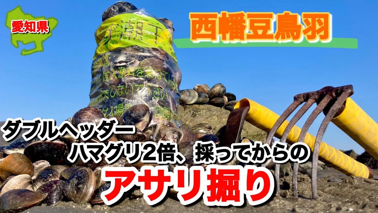岩場のアサリ掘り、頑張るぞ！！