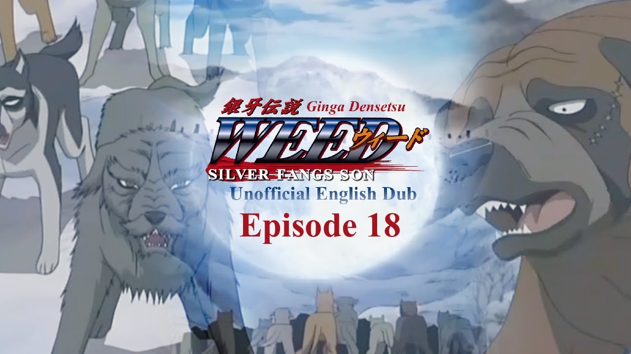 Ginga Densetsu Weed- Episode 18 (UNOFFICIAL ENGLISH DUB)