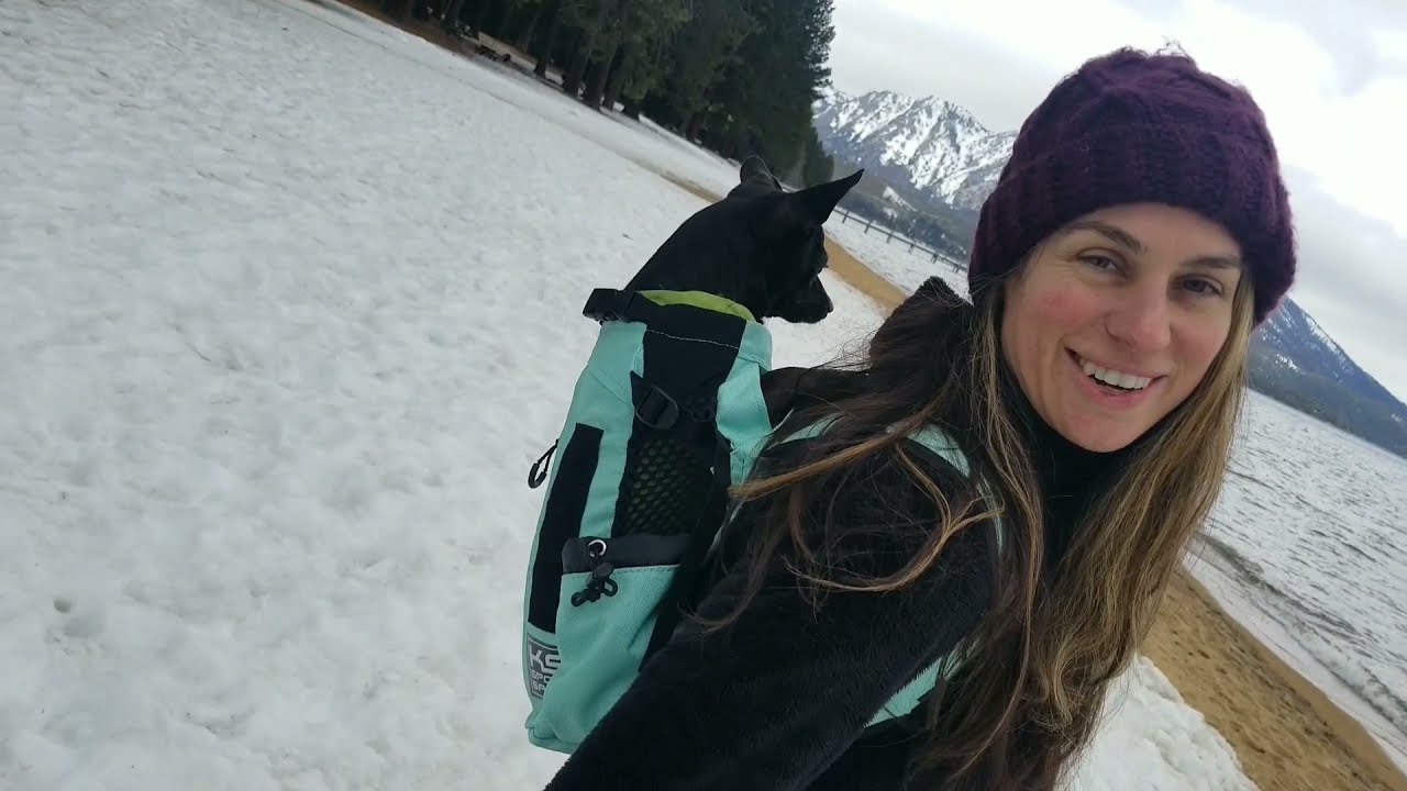 K9 Sport Sack Review