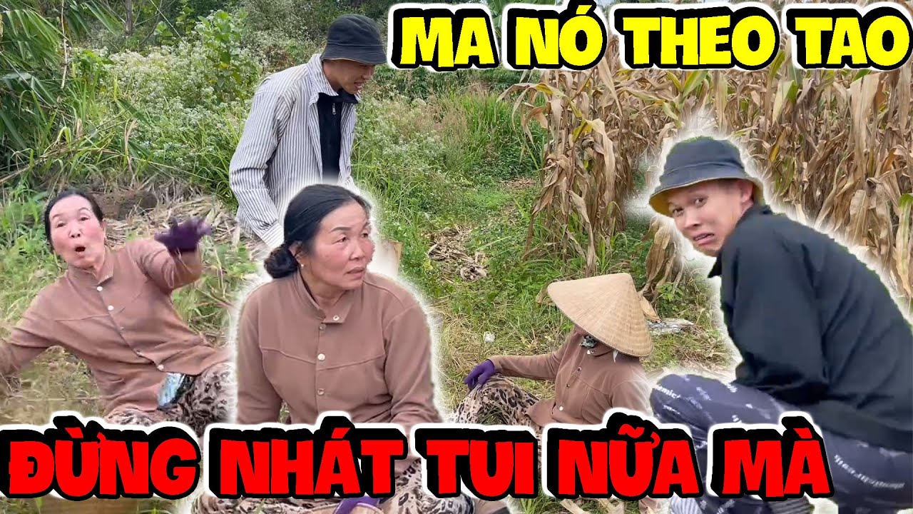 Tập 2 | Dì Hương Và Sơn Báo Lạc Nhau Giữa Đám Bắp Và Chuyện Gì Đến Cũng Đến | Hải Ka Vlogs