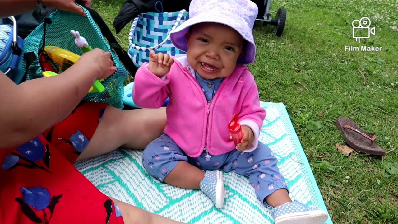 Picnic at Toronto Island