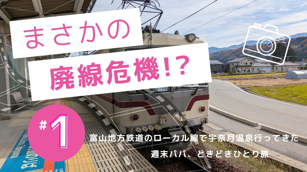 【廃線の危機！？】富山地方鉄道に家族で乗ってきた
