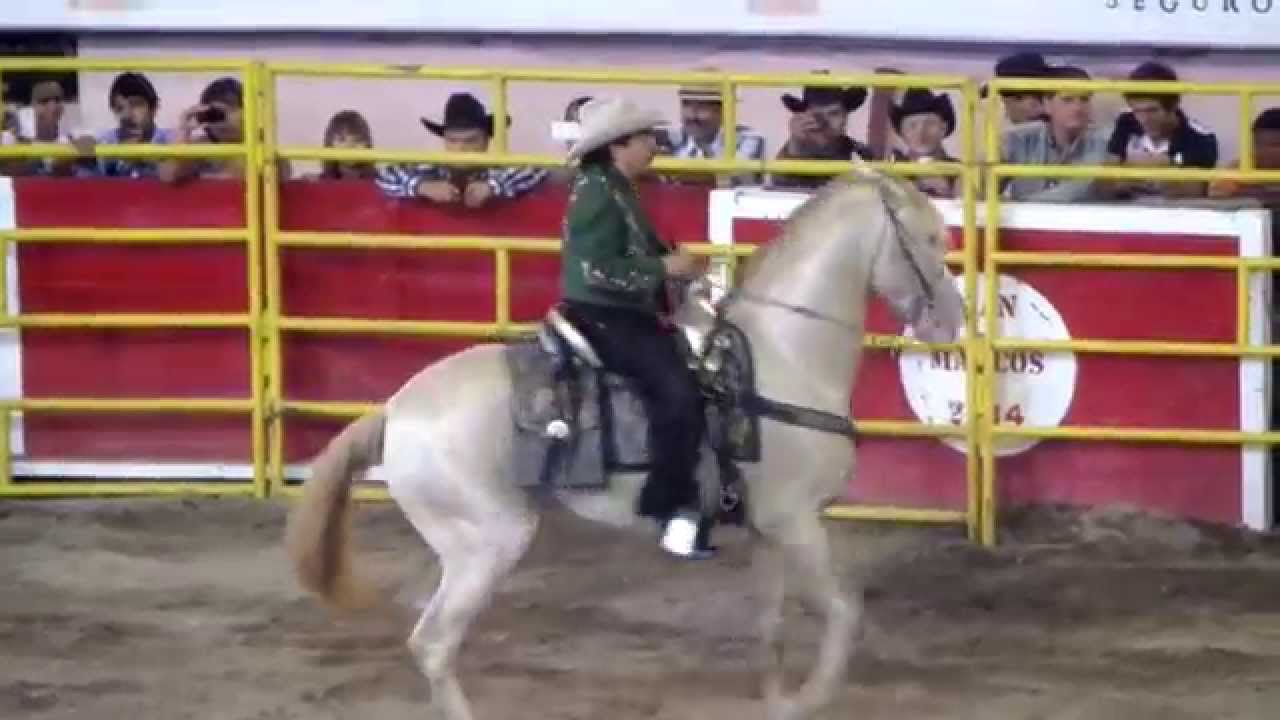 Me Gustas y El Peor de tus Antojos - Joan Sebastian - en Plaza Monumental AGS. Feria 2014