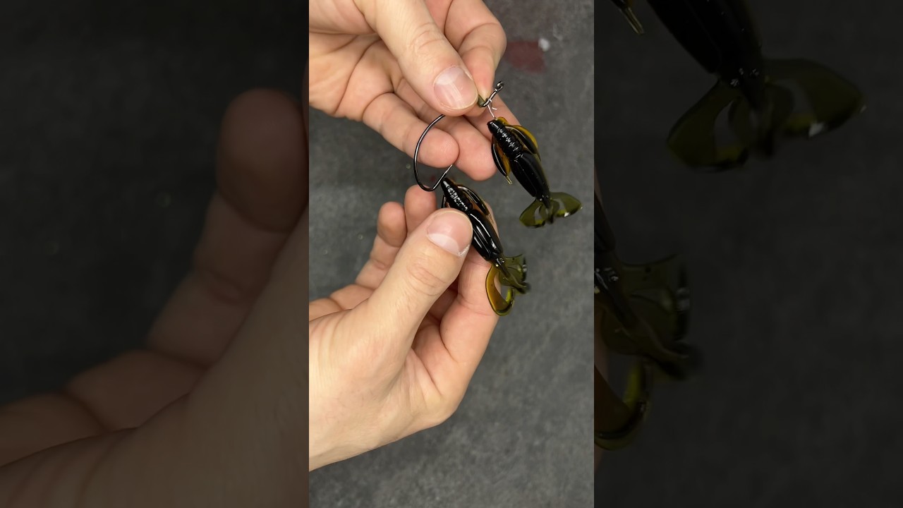 2 leurres souples sur une hame&ccedil;on texan! #fishing #fishingvideo #pikefishing