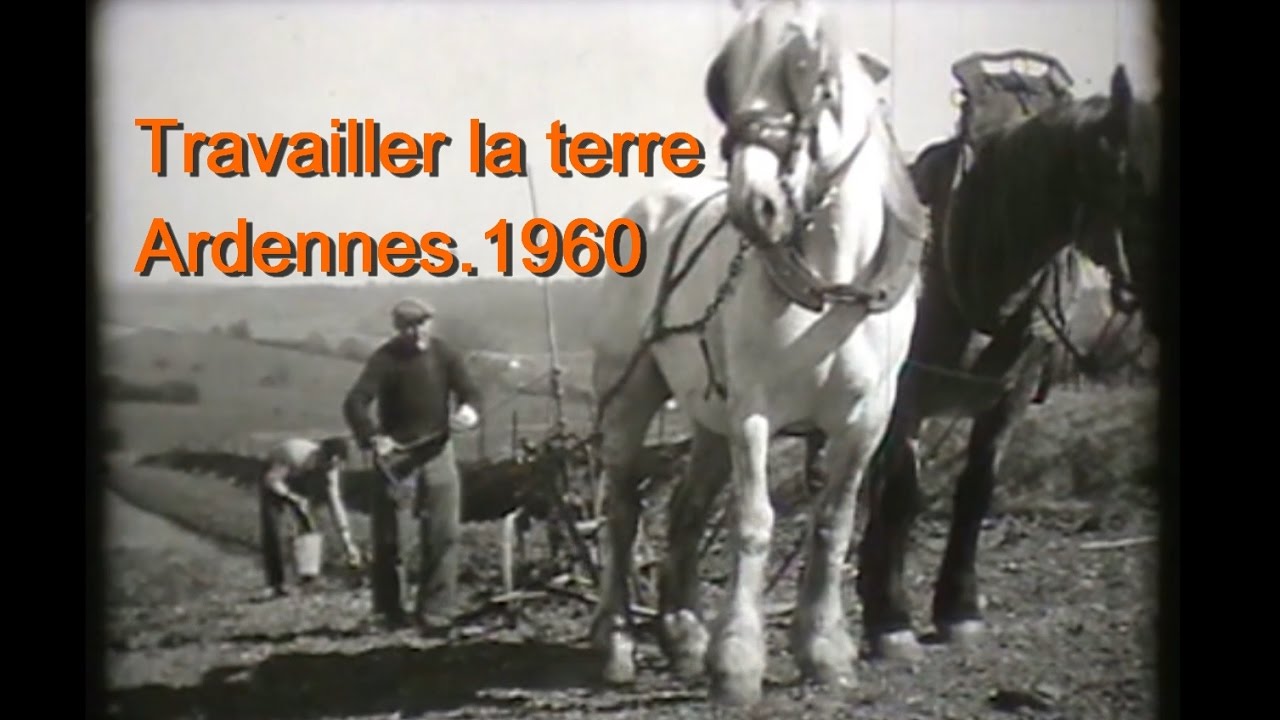travaux des champs,Thin le Moutier 1960