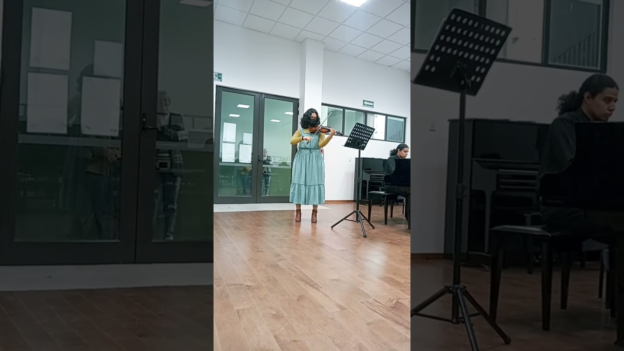 Viotti no.22 Primer movimiento