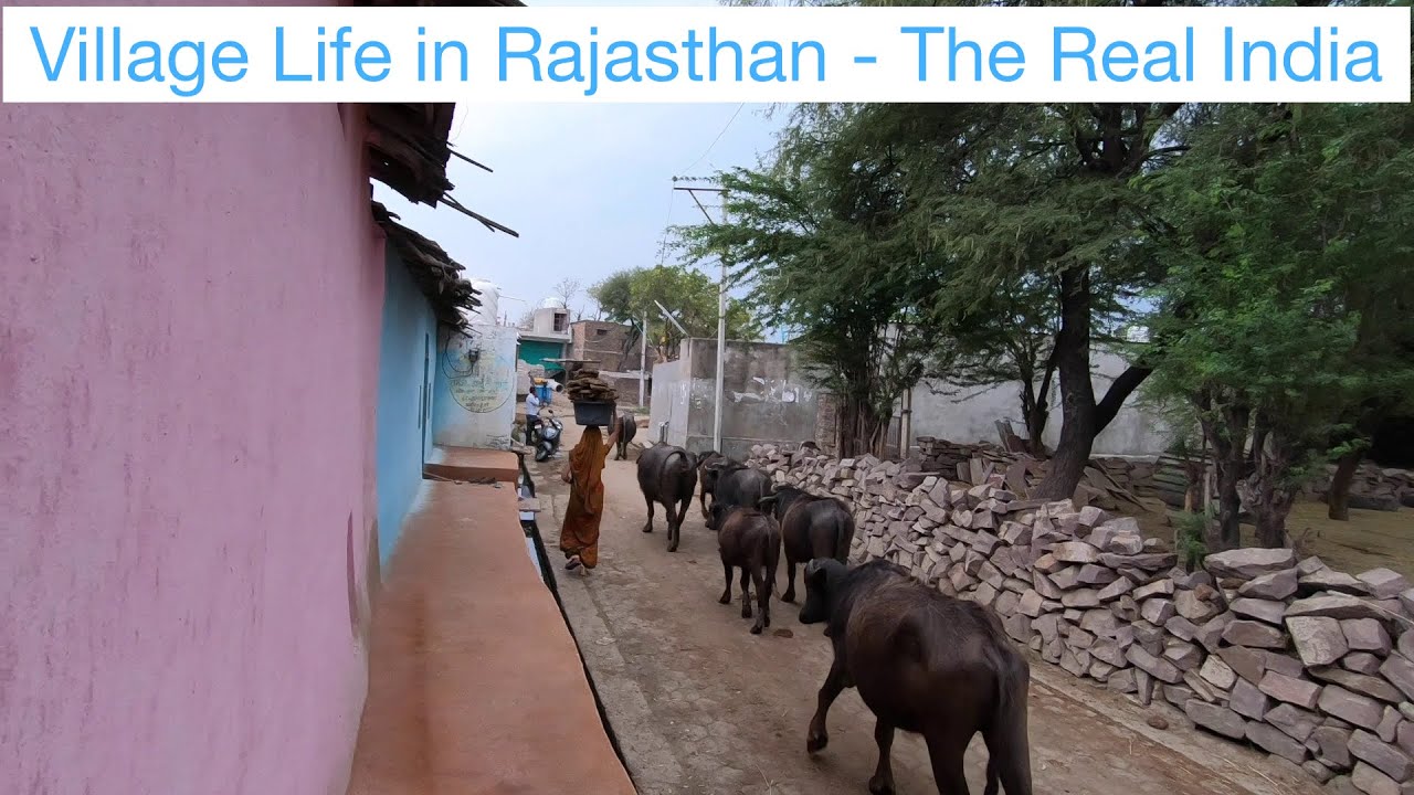 The search for real India ends in villages.The muddy trails take you to my village in Rajasthan.