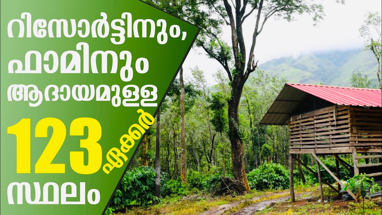 Land For Sale In Wayanad | Suitable For Farm, Resorts | Manathavady