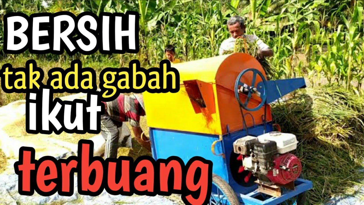 Cek hasil kerja mesin perontok padi/thresher