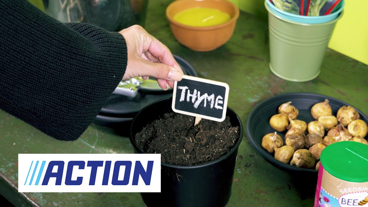 Mini-moestuin voor beginners🪴| Action Nederland