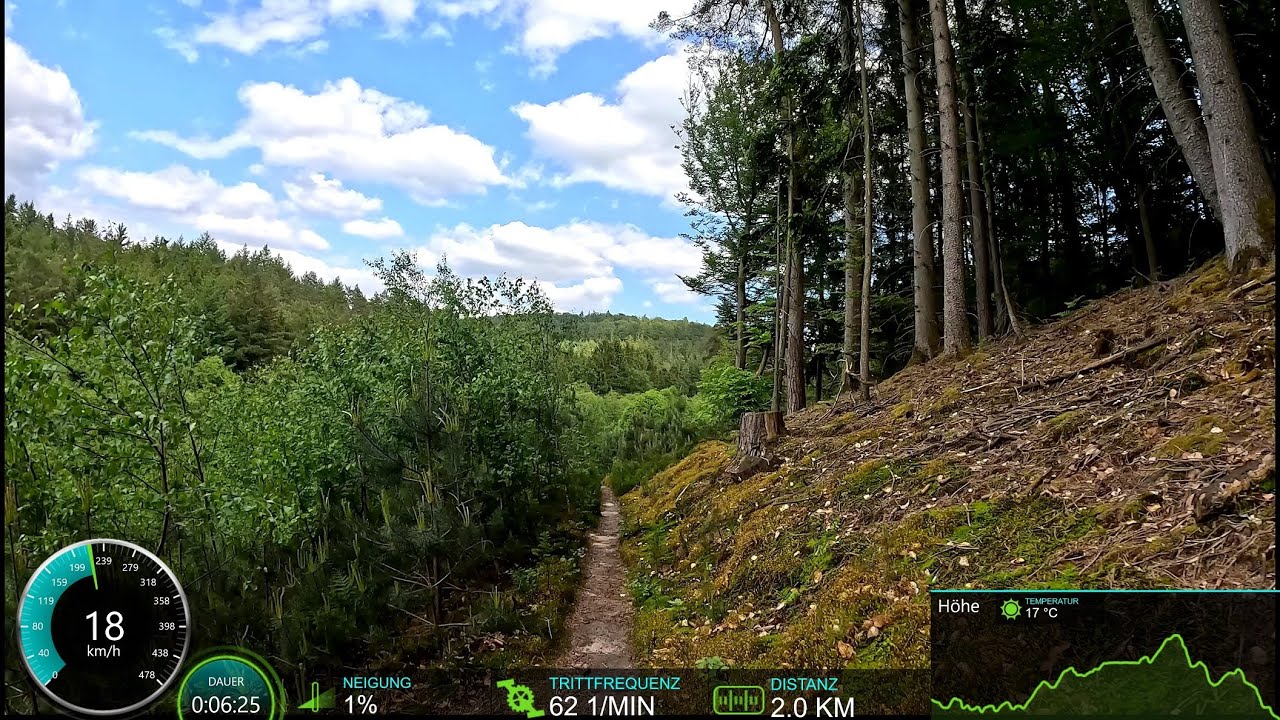 30 minute MTB 🚴‍♀️🌲🌳😍 Workout Indoor Cycling Training Garmin Ultra HD Video