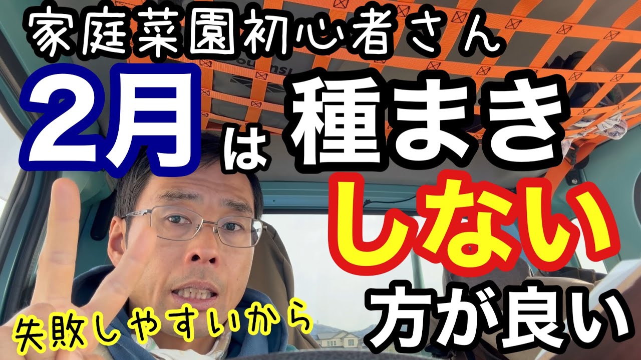 【家庭菜園】２月の種まき育苗は初心者さんにお勧めしない•失敗しやすい理由解説《夏野菜/無農薬/無施肥/自給農/トマトナスピーマン/キュウリカボチャ》