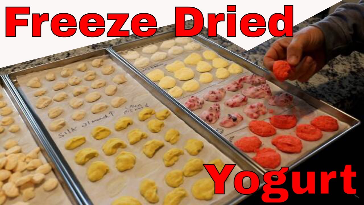 Freeze Dried Yogurt -- Greek Yogurt, Almond Yogurt, Pili Nut Yogurt #freezedriedyogurt